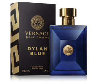 Nr 243 Versace - Dylan Blue Pour Homme