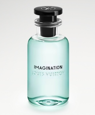 Nr 261 Louis Vuitton - Imagination