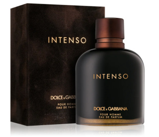 Nr 290 Dolce Gabbana - Intenso Pour Homme